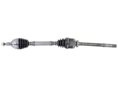RENAULT LAGUNA III (R) 2.0 DCI-2.0 GT, L 985MM