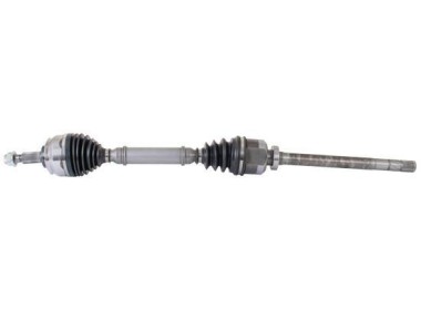 RENAULT LAGUNA II (R) 2.0 DCI, L 985MM